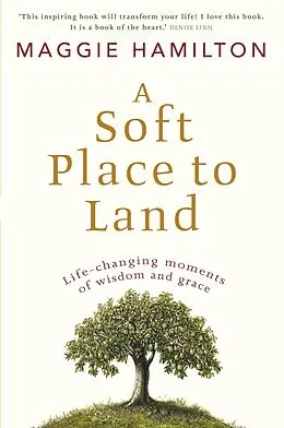 E-Book (epub) Soft Place to Land von Maggie Hamilton
