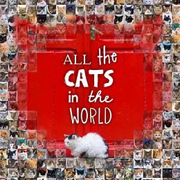 Fester Einband All the Cats in the World von Jesse Hunter