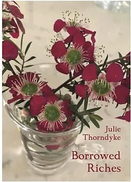 E-Book (epub) Borrowed Riches von Julie Thorndyke