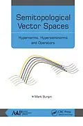 PDF Semitopological Vector Spaces von Mark Burgin