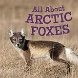 Kartonierter Einband All About Arctic Foxes von Jordan Hoffman
