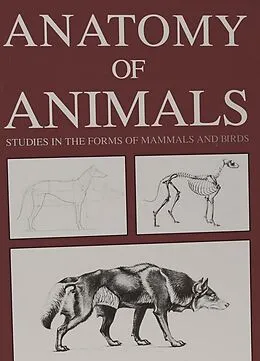 E-Book (epub) Anatomy of Animals: Studies in the Forms of Mammals and Birds von Seton Ernest Thompson Seton