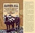 E-Book (epub) Arawata Bill von Ian Dougherty