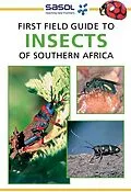 E-Book (pdf) Sasol First Field Guide to Insects of Southern Africa von Alan Weaving