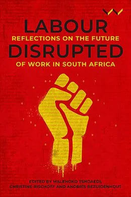 E-Book (epub) Labour Disrupted von Aisha Lorgat, Babalwa Magoqwana, John Mashayamombe