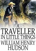 E-Book (epub) Traveller in Little Things von William Henry Hudson