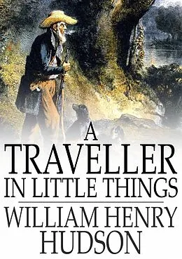 E-Book (epub) Traveller in Little Things von William Henry Hudson