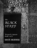 E-Book (epub) The Black Staff (Wizard's Spawn, #2) von Dave Skinner