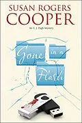 E-Book (epub) Gone in a Flash von Susan Rogers Cooper