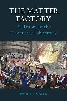 E-Book (epub) Matter Factory von Morris Peter J. T. Morris