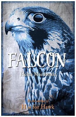 Kartonierter Einband Falcon von Helen Macdonald