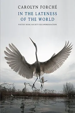 E-Book (epub) In the Lateness of the World von Carolyn Forché