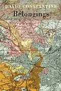 E-Book (epub) Belongings von David Constantine