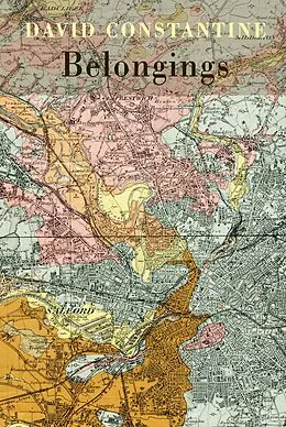 E-Book (epub) Belongings von David Constantine