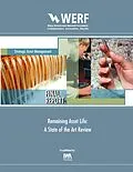 E-Book (pdf) Remaining Asset Life von David Marlow