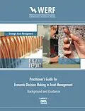 E-Book (pdf) Practitioner's Guide to Economic Decision Making in Asset Management von David Marlow