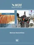 E-Book (pdf) Mainstream Deammonification von Maureen O'Shaughnessy