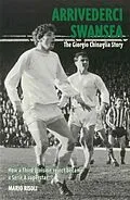 E-Book (epub) Arrivederci Swansea von Mario Risoli
