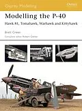 E-Book (epub) Modelling the P-40 von Brett Green