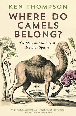 Kartonierter Einband Where Do Camels Belong? von Ken Thompson