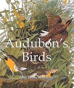 E-Book (epub) Audubon's Birds von John James Audubon