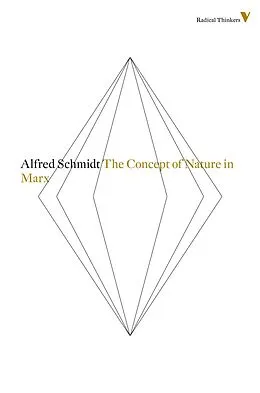 E-Book (epub) The Concept of Nature in Marx von Alfred Schmidt