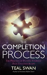 Kartonierter Einband The Completion Process von Swan Teal