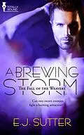 E-Book (epub) A Brewing Storm von E. J. Sutter