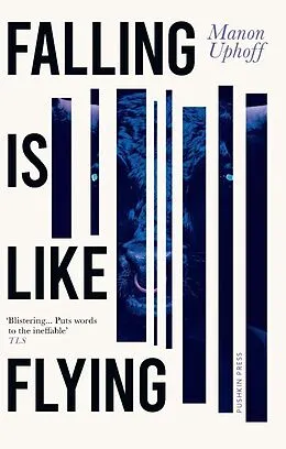 E-Book (epub) Falling is Like Flying von Manon Uphoff