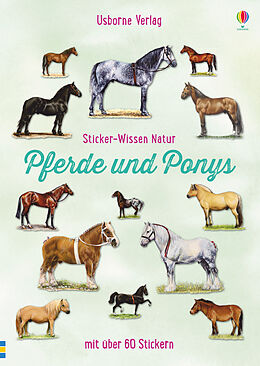 Kartonierter Einband Sticker-Wissen Natur: Pferde und Ponys von Joanna Spector