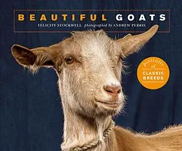 E-Book (epub) Beautiful Goats von Felicity Stockwell