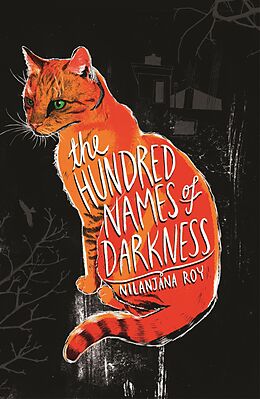 eBook (epub) The Hundred Names of Darkness de Nilanjana Roy