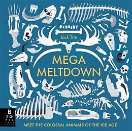 Livre Relié Mega Meltdown de Jack Tite