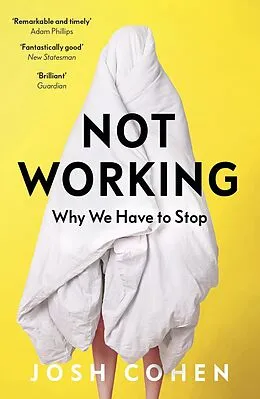 E-Book (epub) Not Working von Josh Cohen