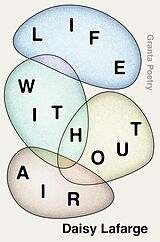 E-Book (epub) Life Without Air von Daisy Lafarge