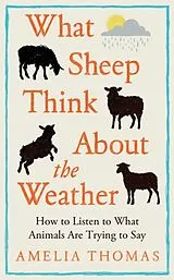 Fester Einband What Sheep Think About the Weather von Amelia Thomas