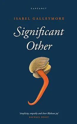 E-Book (epub) Significant Other von Isabel Galleymore