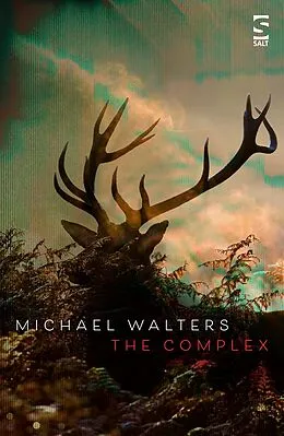 E-Book (epub) The Complex von Michael Walters