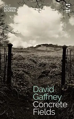 E-Book (epub) Concrete Fields von David Gaffney