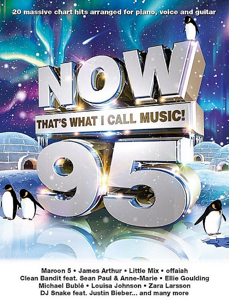 Now thats what I call Music - 95