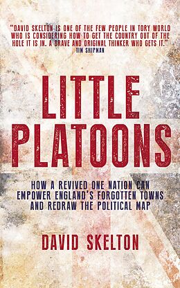 E-Book (epub) Little Platoons von David Skelton