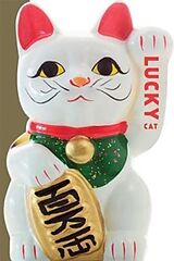 Livre Relié Lucky Cat de Mio Yamada