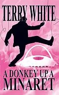 E-Book (epub) Donkey Up A Minaret von Terry White