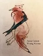 Kartonierter Einband Wrong Norma von Anne Carson