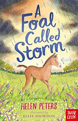 eBook (epub) A Foal Called Storm de Helen Peters