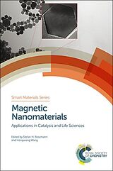 E-Book (pdf) Magnetic Nanomaterials von 