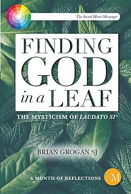 E-Book (pdf) Finding God in a Leaf von Brian Grogan