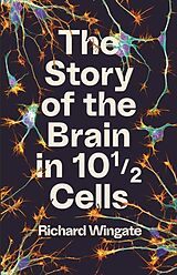 Kartonierter Einband The Story of the Brain in 10½ Cells von Richard Wingate