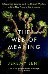 Couverture cartonnée The Web of Meaning de Jeremy Lent