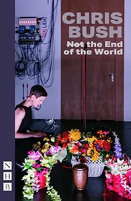 E-Book (epub) (Not) the End of the World von Chris Bush